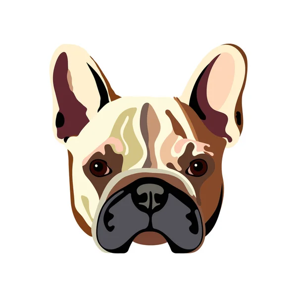 Retrato Bulldog Francés Ilustración Vectorial Dibujada Mano Diseño Color Plano Vector de stock
