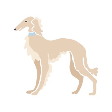 Borzoi, el yapımı vektör çizimi. Düz renk tasarımı.