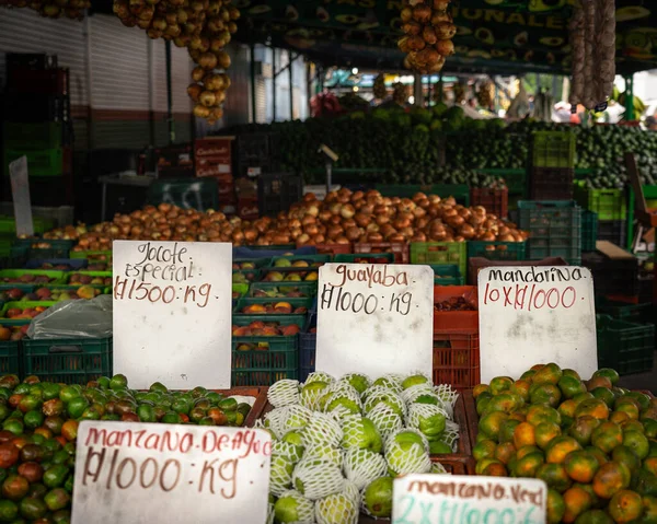 一个繁忙的哥斯达黎加市场展示了各种生机勃勃的水果 五彩缤纷的色彩和风味 提供了感官盛宴和该地区热带富饶的一瞥 — 图库照片