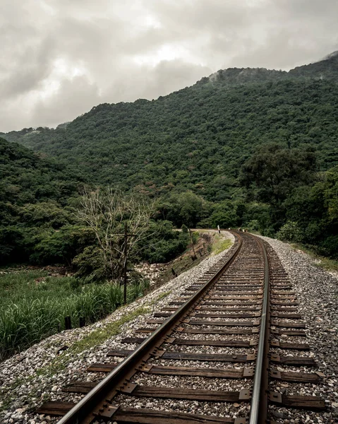 Captivating Landscape Unravels Railroad Ventures Deep Heart Lush Jungle Tracks — Stock Photo, Image