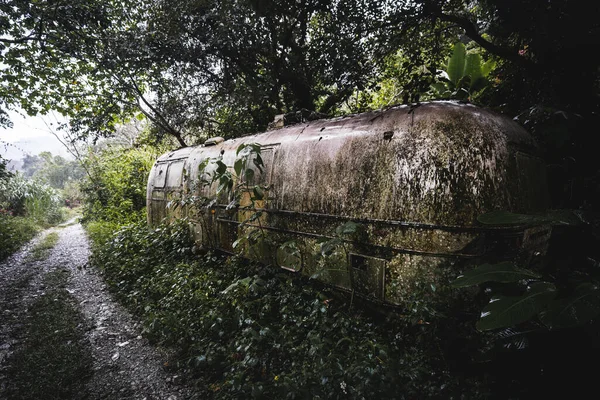 Lost in the heart of the jungle, an ancient trailer stands in abandonment. Nature reclaims its territory, surrounding this forgotten relic with an aura of mystery and untold tales