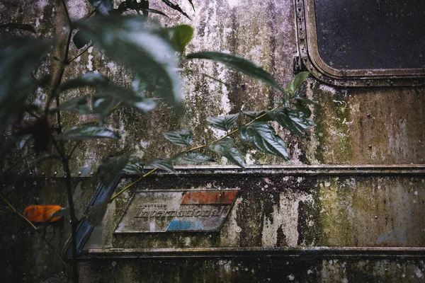 Detial of an ancient trailer, lost in the heart of the jungle, stands in abandonment. Nature reclaims its territory, surrounding this forgotten relic with an aura of mystery and untold tales