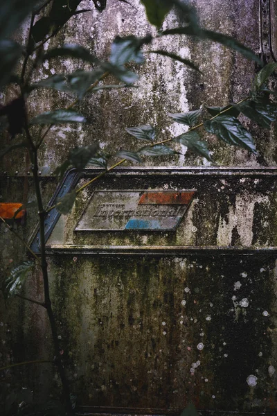 Detial of an ancient trailer, lost in the heart of the jungle, stands in abandonment. Nature reclaims its territory, surrounding this forgotten relic with an aura of mystery and untold tales