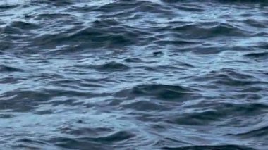 Deniz yüzeyi karmaşık desenlerle dans eder, doğanın sanatını büyüleyici bir şekilde gözler önüne serer. Dalgalar ve dalgalar sürekli değişen bir duvar halısı örer, dinamiği yansıtır ve okyanusu büyüler..