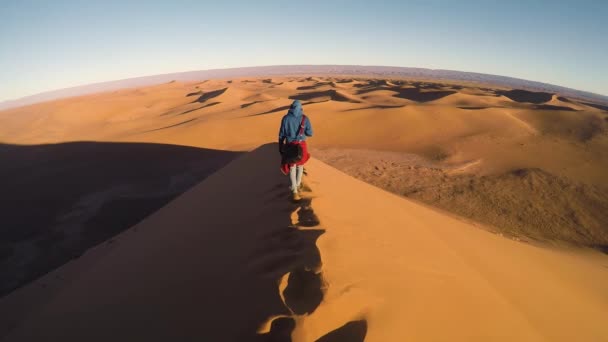 Une Personne Marche Sur Une Dune Géante Sable — Video