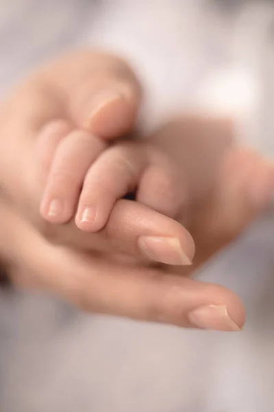 Tiny Delicate Baby Fingers Reach Out Finding Solace Comforting Embrace — Stock Photo, Image