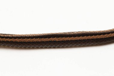 Yakalı yılan ya da çizgili çöp yılanı Sibynophis geminatus beyaz arka planda izole edilmiş.