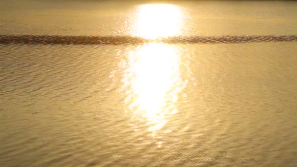Reflejo Luz Solar Sobre Superficie Del Lago Agua Salida Del — Vídeos de Stock
