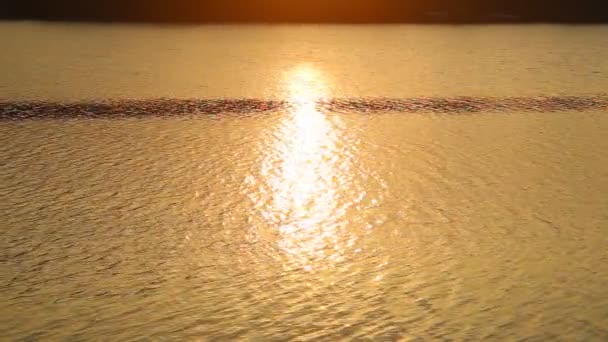 Refleksjon Sollys Innsjøoverflaten Soloppgang Vann Oransje Farge – stockvideo