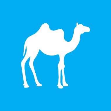 Deve hayvan silueti. Vektör resim çizimi tasarımı.