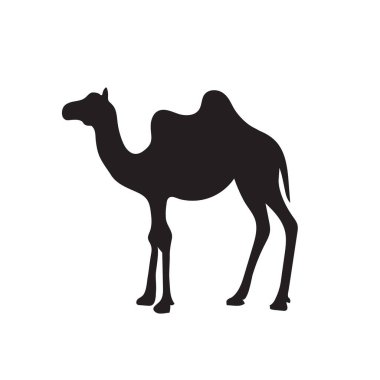 Deve hayvan silueti. Vektör resim çizimi tasarımı.