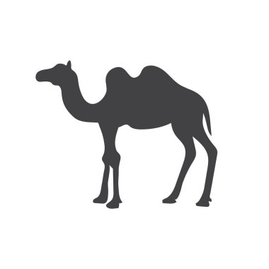 Deve hayvan silueti. Vektör resim çizimi tasarımı.