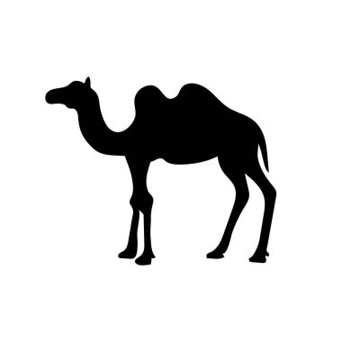 Deve hayvan silueti. Vektör resim çizimi tasarımı.