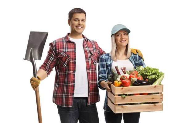 白い背景に野菜の入った箱を持ったシャベルを持った男農家と女農家 — ストック写真