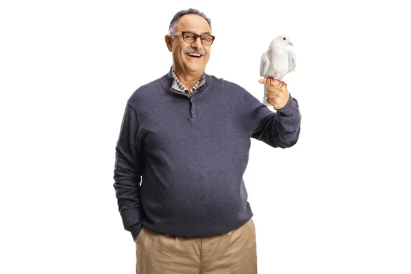 Älterer Mann Mit Einer Weißen Taube Auf Der Hand Isoliert — Stockfoto