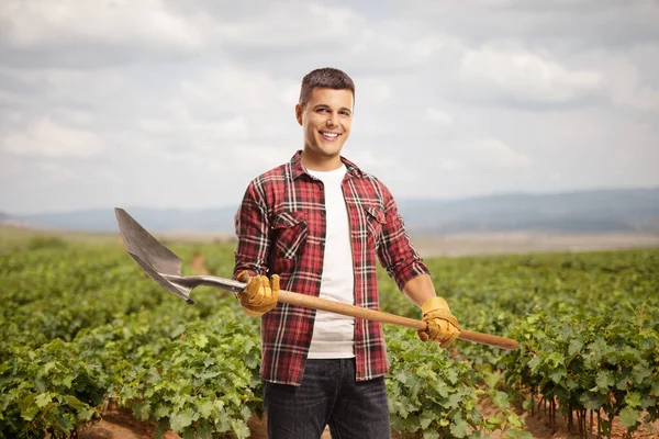 Young Male Farmer Shovel Posing Grape Wine Field — Stock Photo, Image