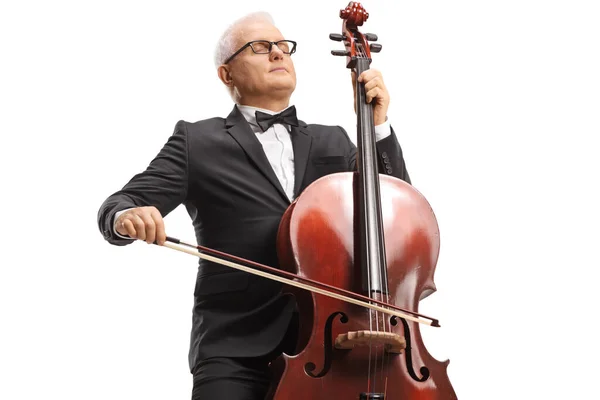 Mature Man Black Suit Playing Cello Isolated White Background — Stock Photo, Image