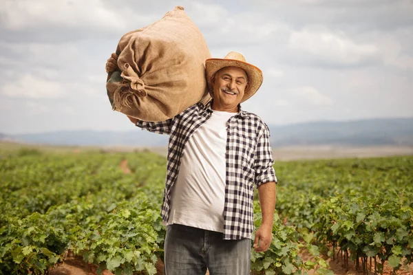 Farmer Posing Burlap Sack His Shoulder Grapevine Field — Fotografia de Stock