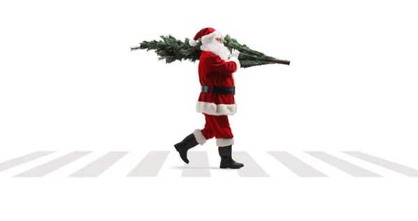 Perfil Comprimento Total Tiro Santa Claus Uma Travessia Pedestre Andando — Fotografia de Stock