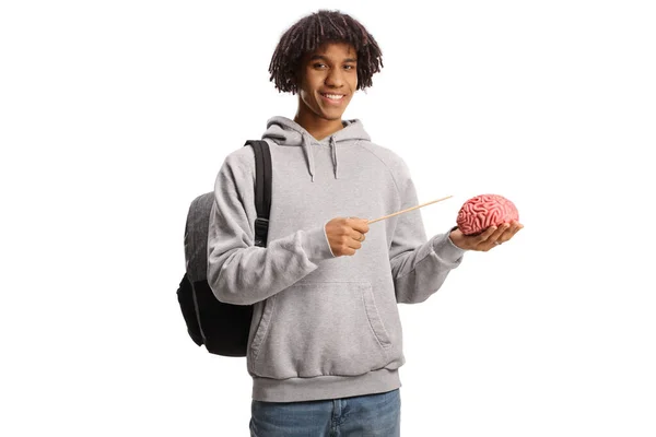 Afrykański Amerykański Student Trzymający Ludzki Mózg Wskazujący Kijem Białym Tle — Zdjęcie stockowe