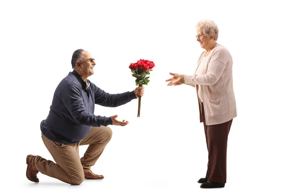 熟女はひざまずき 白い背景に隔離された高齢者の女性に赤いバラの束を与えます — ストック写真