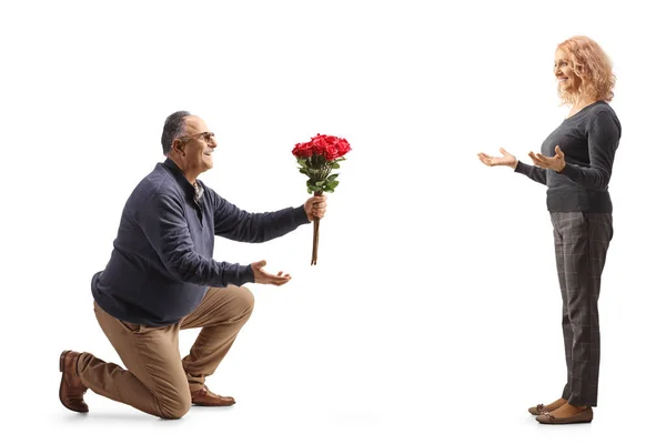 Mature Man Kneeling Giving Bunch Red Roses Woman Isolated White — Stock Photo, Image