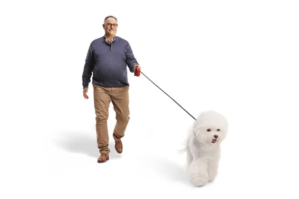 Starší Muž Chůze Bichon Frise Pes Izolovaný Bílém Pozadí — Stock fotografie