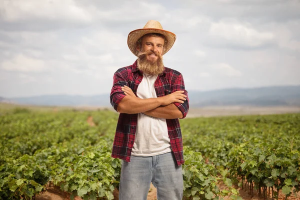 Petani Dengan Topi Jerami Berpose Ladang Anggur — Stok Foto