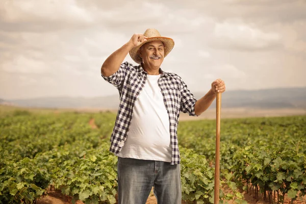 Agricultor Maduro Campo Videira Cumprimentando Com Seu Chapéu Palha — Fotografia de Stock