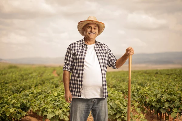 成熟的农民 拿着铲子在葡萄藤地里摆姿势 面带微笑 — 图库照片