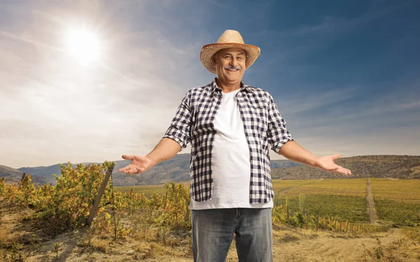 Happy Mature Farmer Standing Field Gesturing Hands — Stock Photo, Image