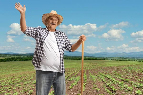 晴れた日に畑から手を振っているシャベルで幸せな成熟した農家 — ストック写真