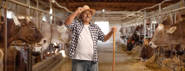 Jordbrukare Mjölkgård Med Kor Hälsning Med Halmhatt — Stockfoto