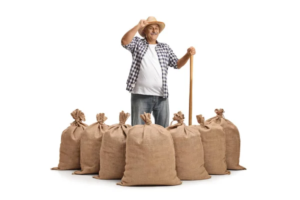 彼の帽子で成熟した農家の挨拶と白い背景に隔離されたバラップ袋の後ろに立つ — ストック写真