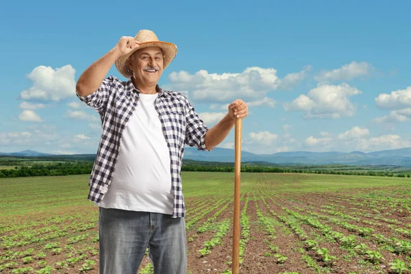 微笑着躺在田里的成熟农民 用他的草帽问安 — 图库照片