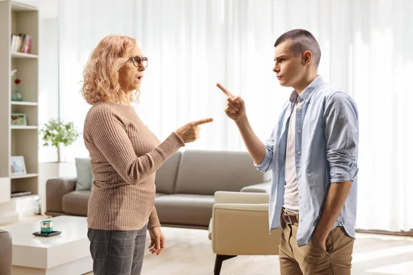 Profile Shot Mother Arguing Son Home Living Room — Stock Photo, Image