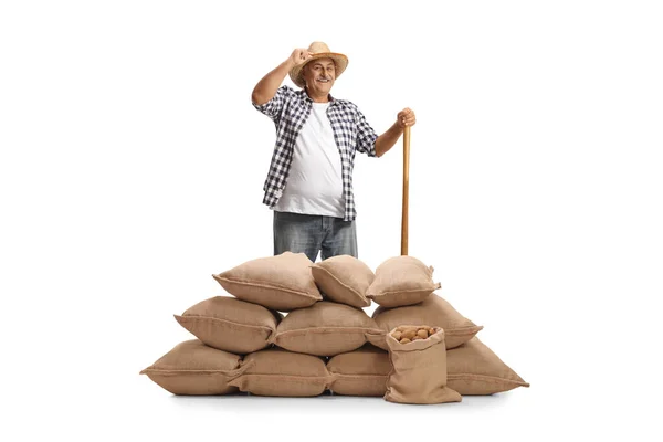 用木制工具微笑的农民 站在用白色背景隔离的土豆做的麻袋后面 — 图库照片