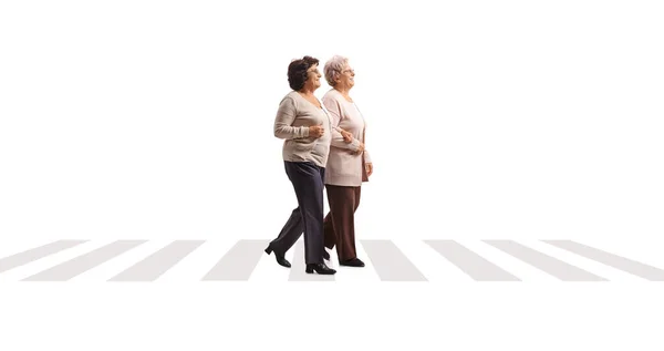 Teljes Hossz Profilkép Két Idős Hölgyről Akik Egy Fehér Alapon — Stock Fotó