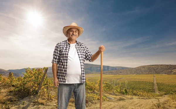 畑に立ち笑顔のシャベルを持つ成熟した農家 — ストック写真