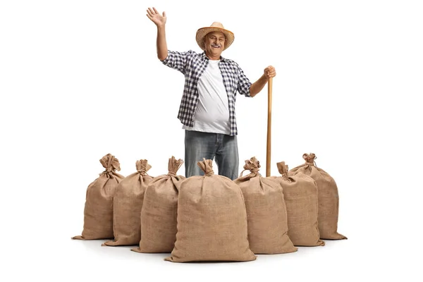 バラップ袋の後ろに立つ農家の笑顔と白い背景に隔離された手を振る — ストック写真