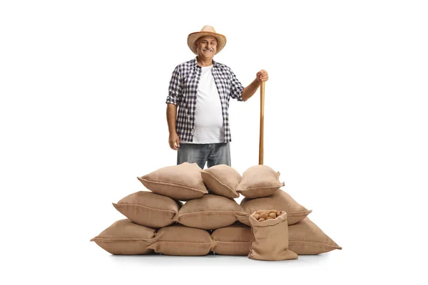 笑着站在用白色背景隔开的几袋土豆袋后面的农民 — 图库照片