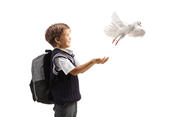 白い背景に隔離された彼の手から白い鳩のフライを聞かせ学校の少年のプロフィールショット — ストック写真