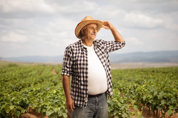 Ώριμος Αγρότης Στέκεται Ένα Χωράφι Και Ψάχνει Απόσταση — Φωτογραφία Αρχείου
