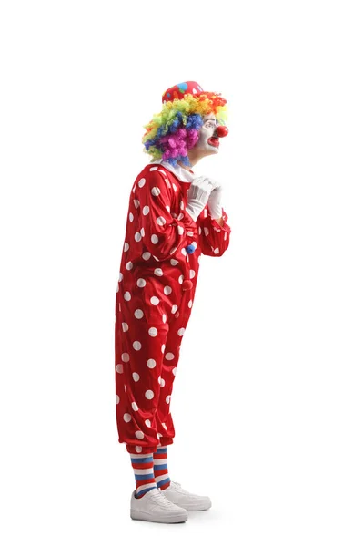 Full Length Shot Clown Putting Costume Isolated White Background — Stock Photo, Image