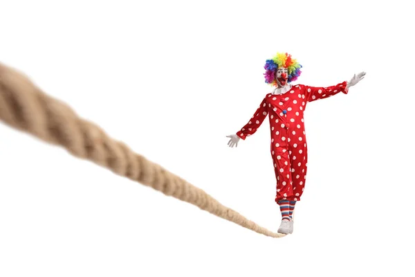 Full Length Portrait Clown Red Costume Walking Tightrope Isolated White — Stock Photo, Image