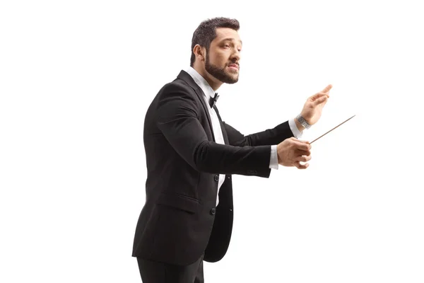 Music Conductor Directing Performance Isolated White Background — Stock Photo, Image