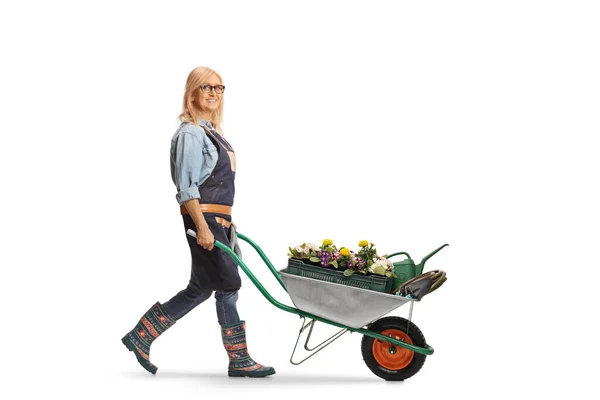 Full Length Profile Shot Female Gardener Pushing Wheelbarrow Full Flowers — Stock Photo, Image