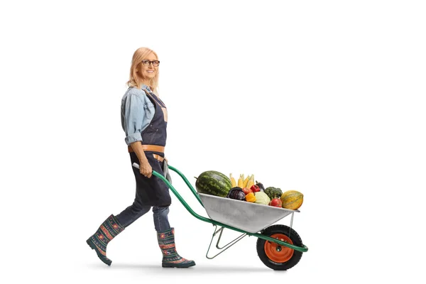Ganzkörperaufnahme Einer Bäuerin Die Eine Schubkarre Voller Obst Und Gemüse — Stockfoto