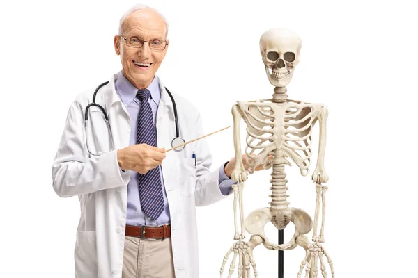Medical Teacher Pointing Human Skelketon Stick Isolated White Background — Stock Photo, Image