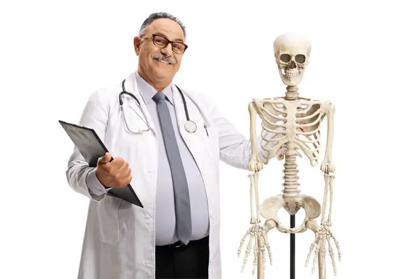 Doctor Smiling Posing Next Human Skelketon Isolated White Background Stock Picture